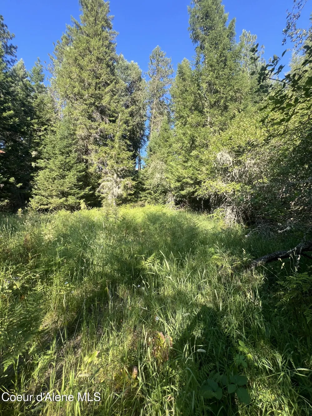 NKA Clearcreek Road Kooskia, ID 83539