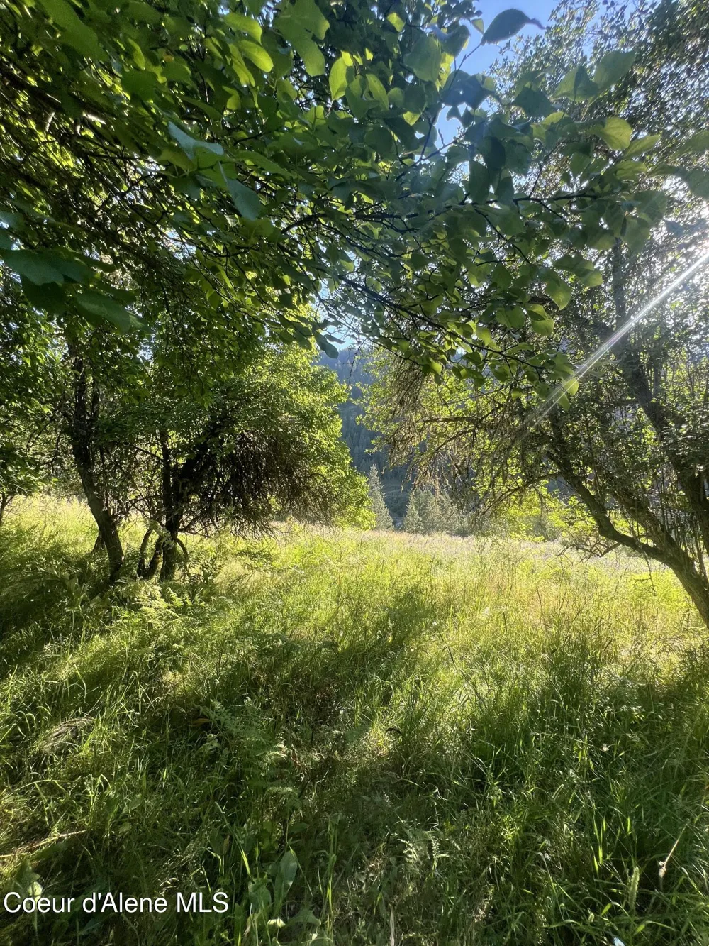 NKA Clearcreek Road Kooskia, ID 83539