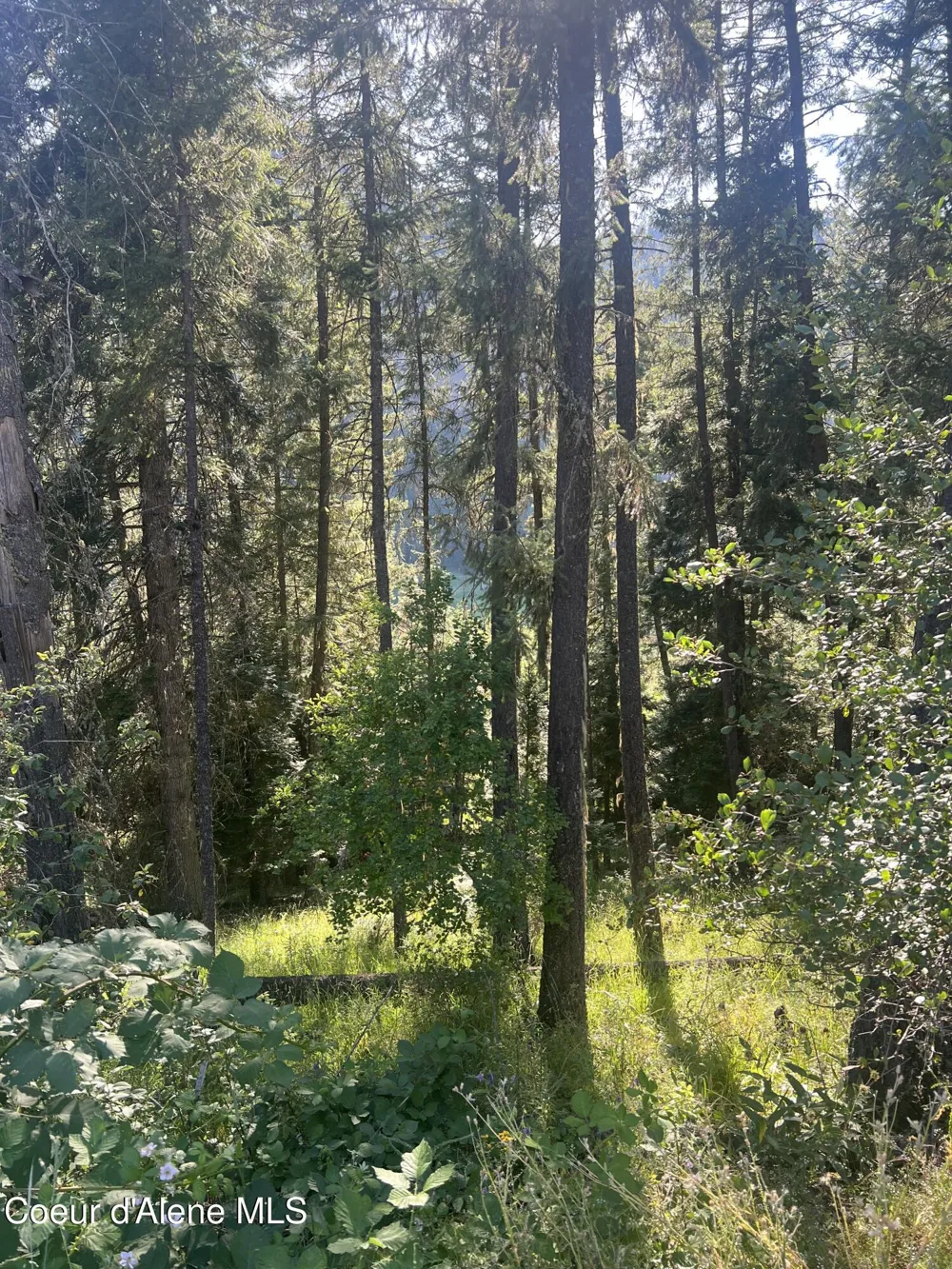 NKA Clearcreek Road Kooskia, ID 83539