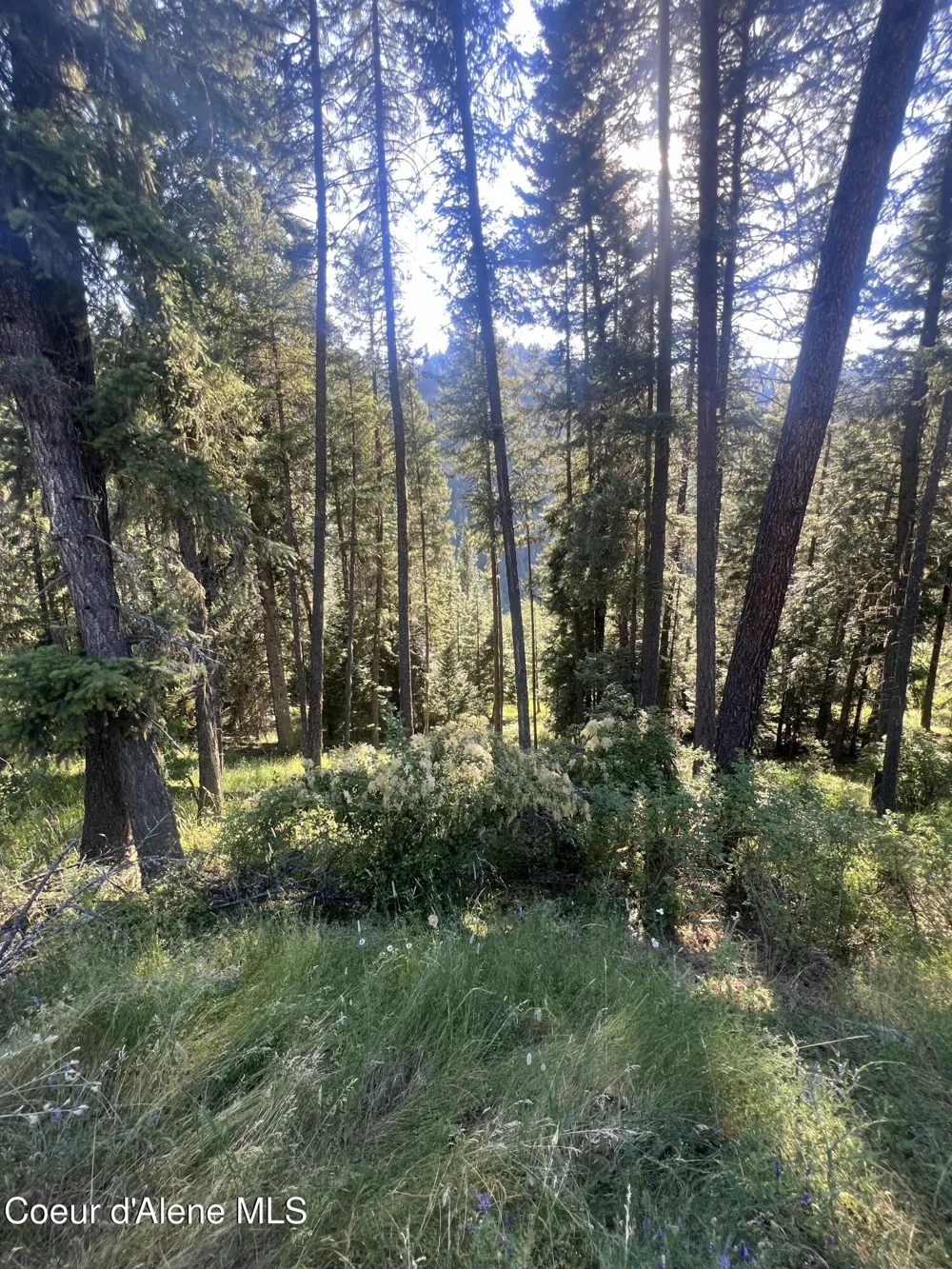 NKA Clearcreek Road Kooskia, ID 83539