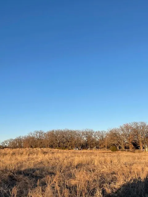 8496 Lavender Road Springtown, TX 76082