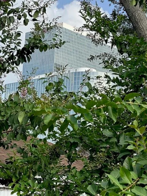 3400 Timmons Lane #24