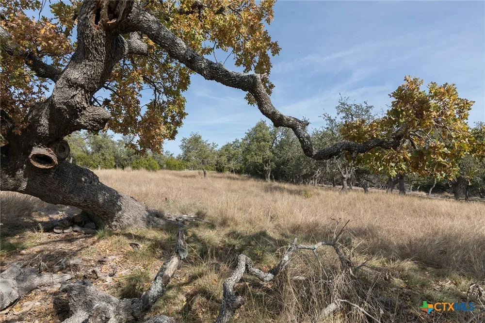 857 Brooklyn NW Drive Mountain Home, TX 78058