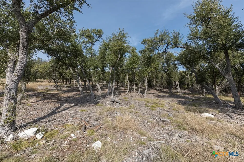 857 Brooklyn NW Drive Mountain Home, TX 78058