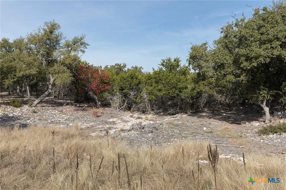 857 Brooklyn NW Drive Mountain Home, TX 78058