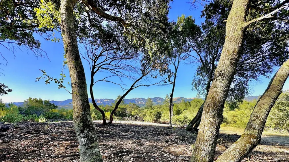 6555 Enterprise Road Glen Ellen, CA 95442