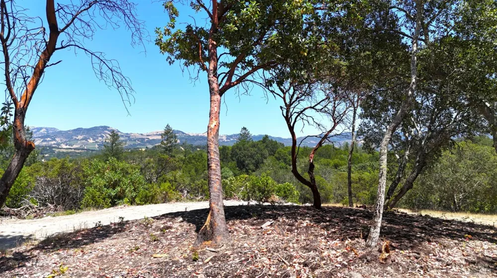 6555 Enterprise Road Glen Ellen, CA 95442