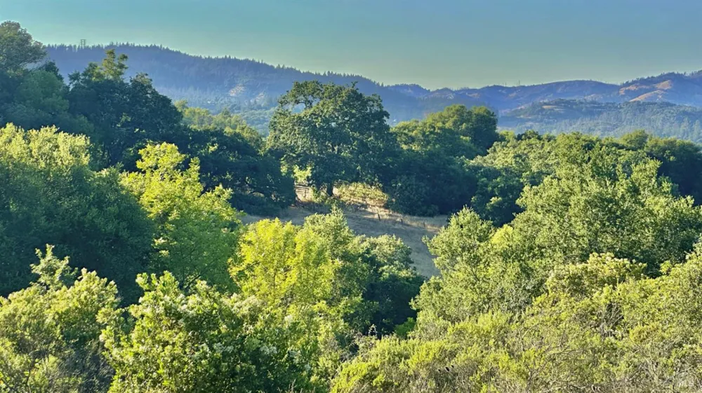 6555 Enterprise Road Glen Ellen, CA 95442