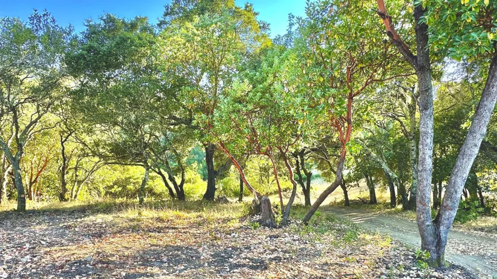 6555 Enterprise Road Glen Ellen, CA 95442