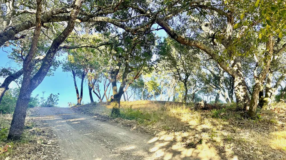 6555 Enterprise Road Glen Ellen, CA 95442