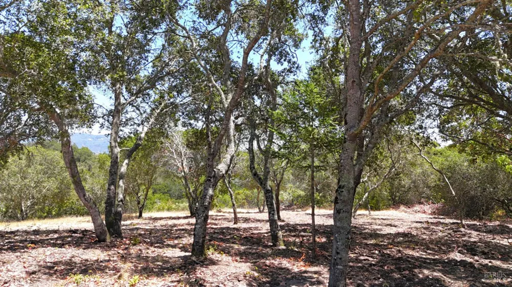 6555 Enterprise Road Glen Ellen, CA 95442