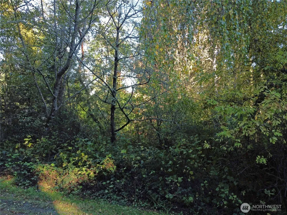 0 Lylus Lane Port Hadlock, WA 98339