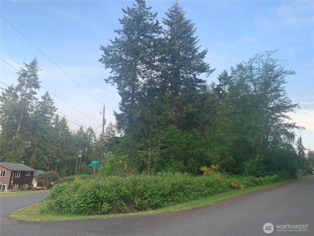 0 Lylus Lane Port Hadlock, WA 98339