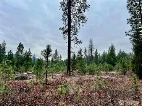 0 40TBD Hwy 25