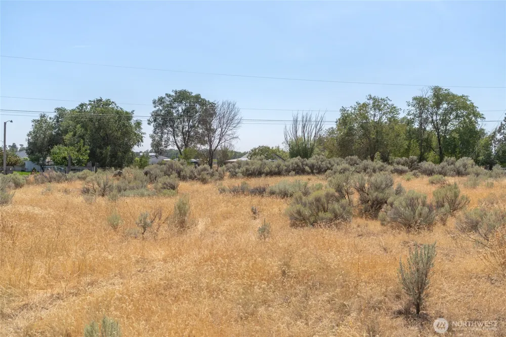 0 Thomas Road NE Soap Lake, WA 98851