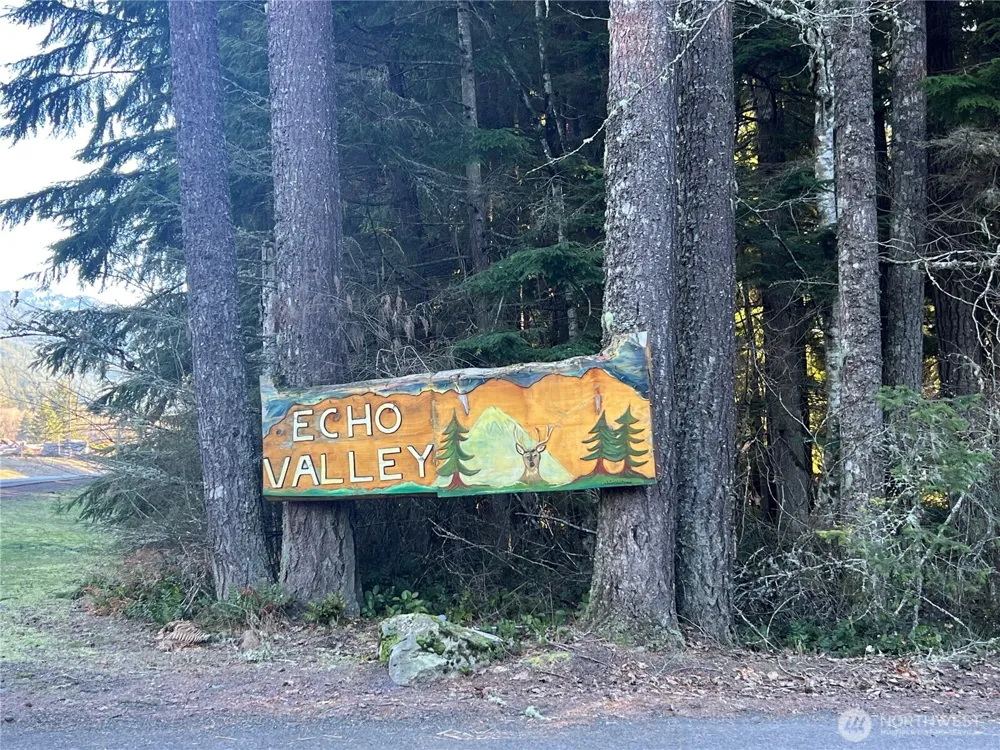31401 556th St. Court E Ashford, WA 98304