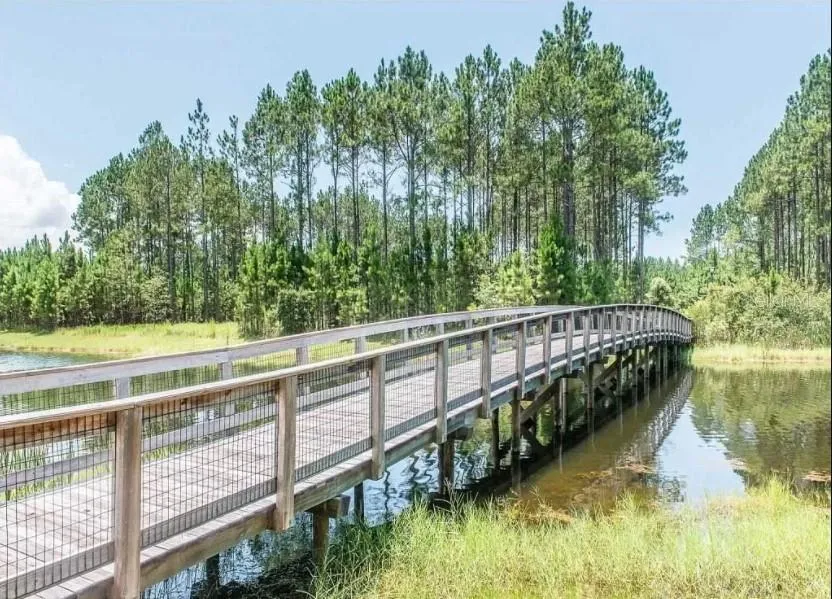 CREEK PINES CIRCLE Wewahitchka, FL 32465