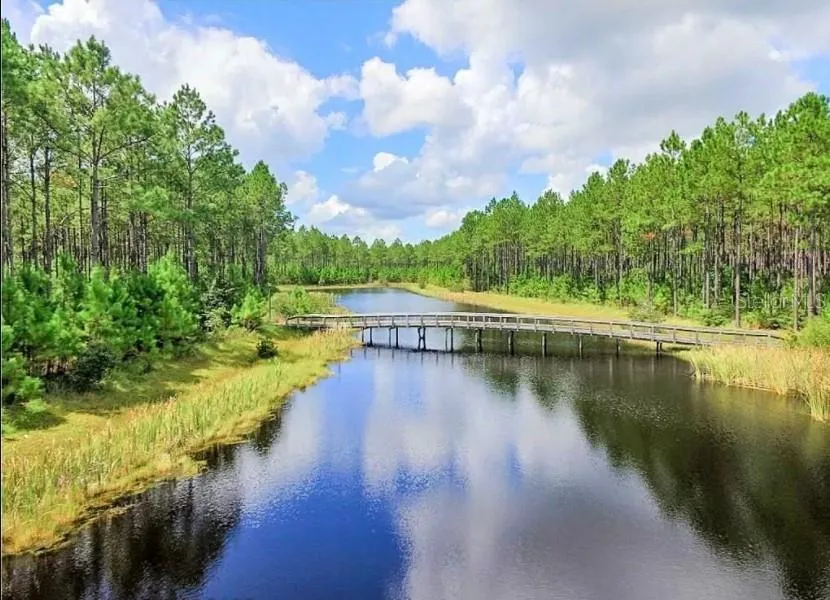 CREEK PINES CIRCLE Wewahitchka, FL 32465