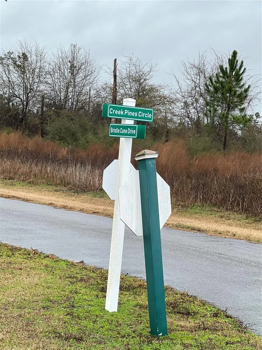 CREEK PINES CIRCLE Wewahitchka, FL 32465