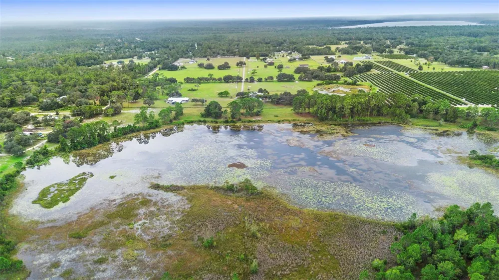 42554 MAGGIE JONES ROAD Paisley, FL 32767