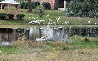 5309 COUNTY ROAD 114D Wildwood, FL 34785