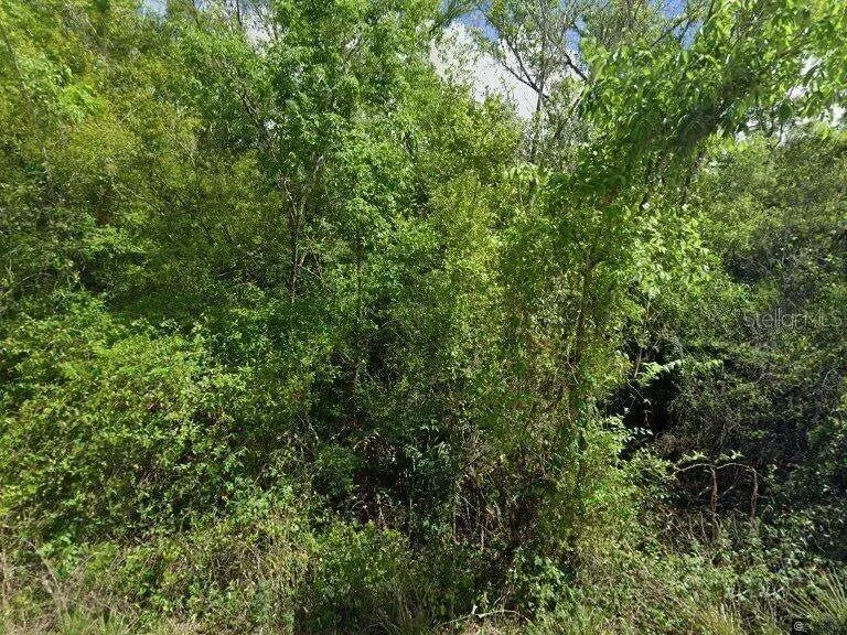 8115 SW HORSE CREEK ROAD Arcadia, FL 34266