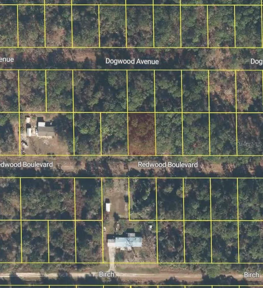 318 REDWOOD BOULEVARD Georgetown, FL 32139