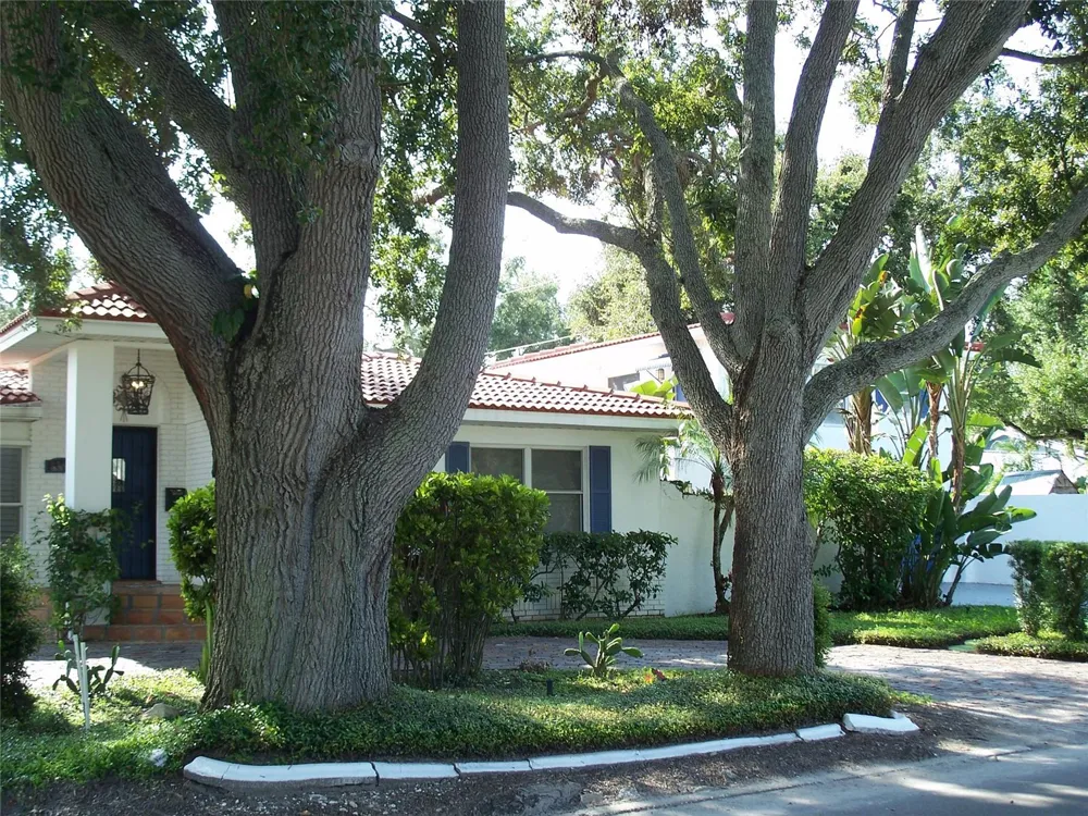 2200 2ND STREET St Petersburg, FL 33704