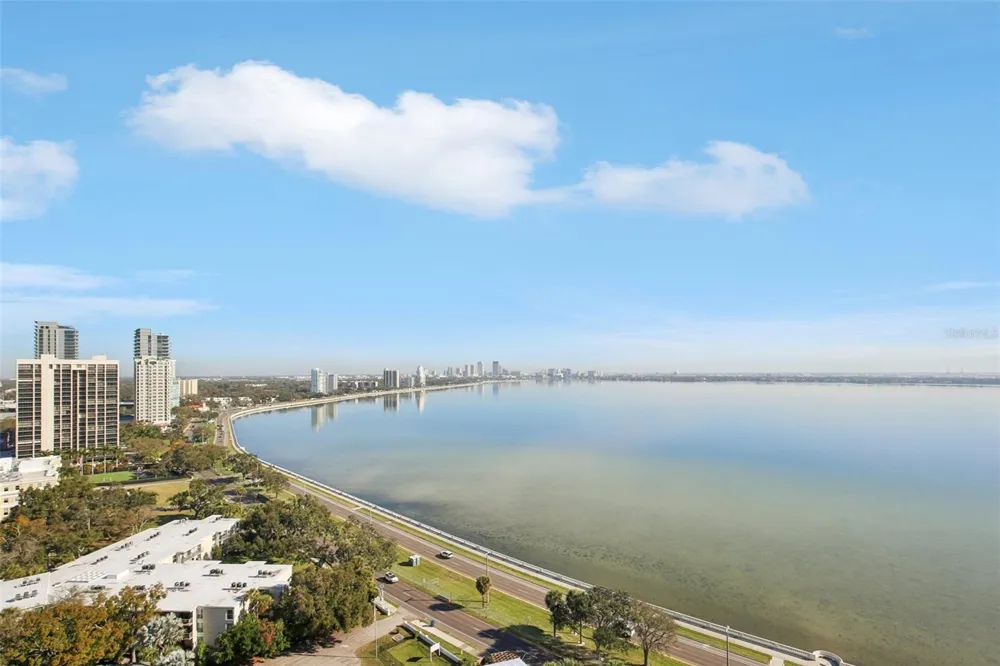 3401 BAYSHORE BOULEVARD #1704