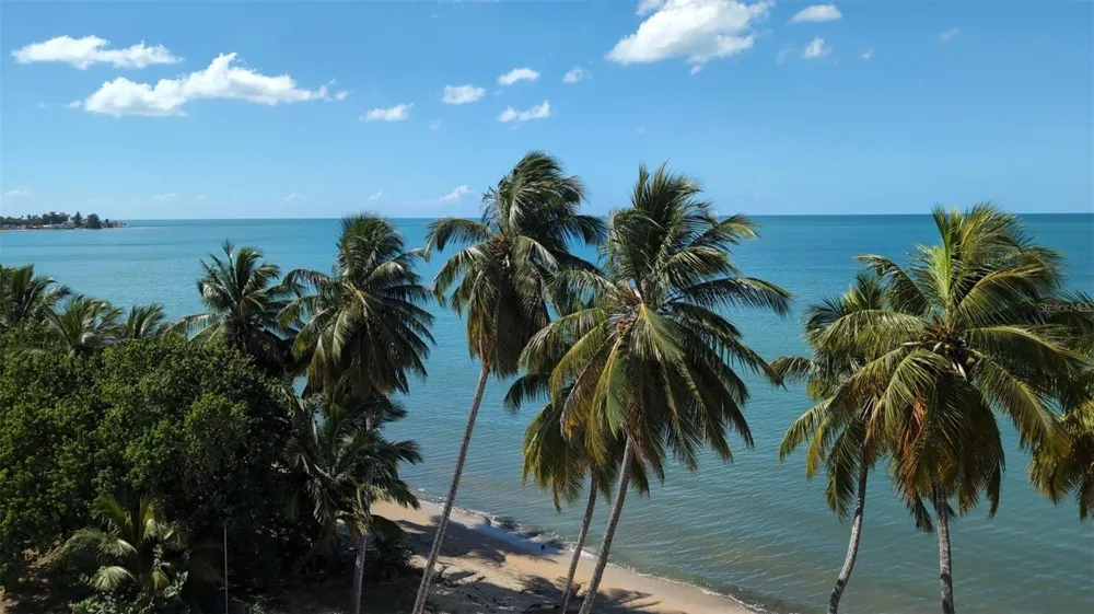Route 102 TORRE MARSELLA CONDOMINIUM #601 Cabo Rojo, PR 00623