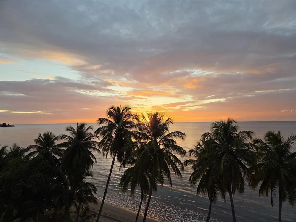 Route 102 TORRE MARSELLA CONDOMINIUM #601 Cabo Rojo, PR 00623