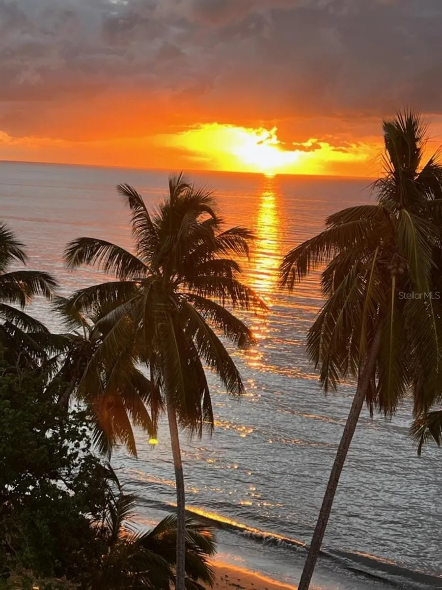 Route 102 TORRE MARSELLA CONDOMINIUM #601 Cabo Rojo, PR 00623