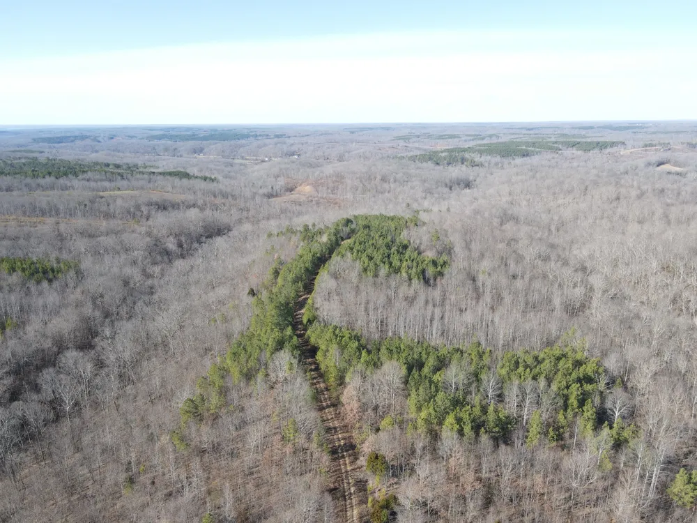 0 North Fork Stewart, TN 37175