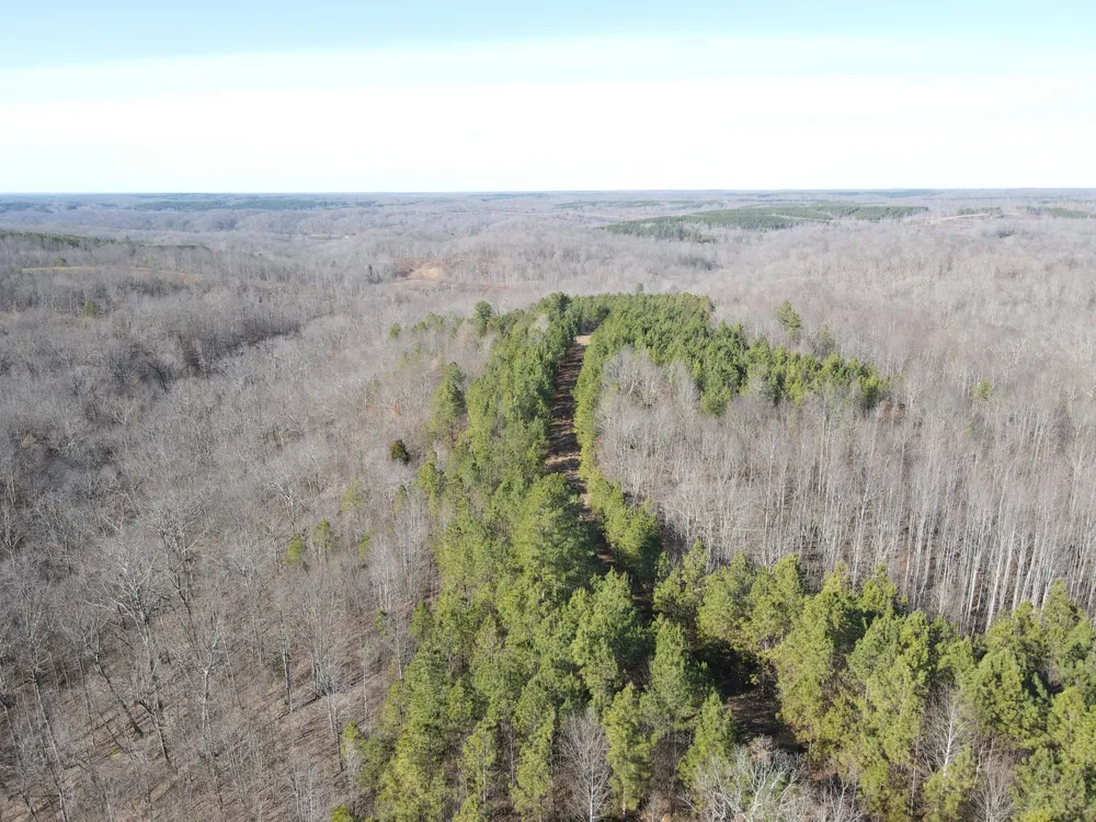 0 North Fork Stewart, TN 37175