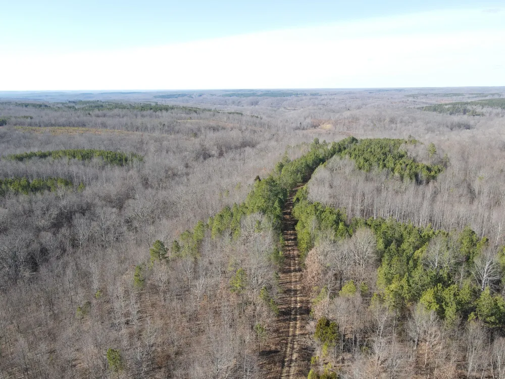 0 North Fork Stewart, TN 37175