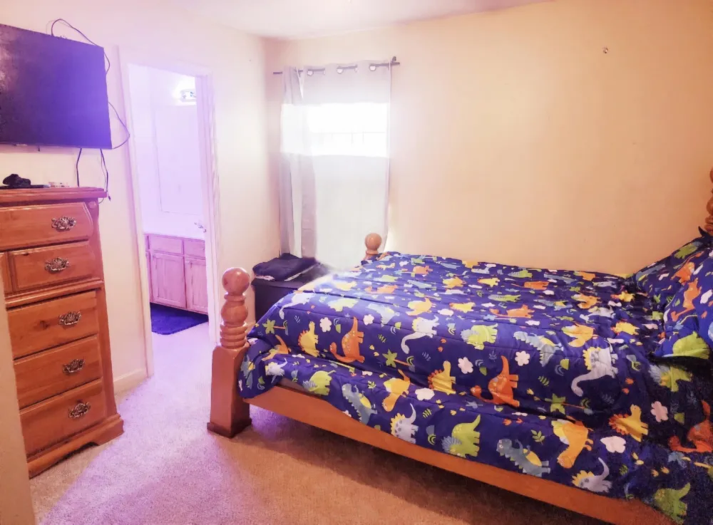 4316 BARRY MEADOWS CV Memphis, TN 38125