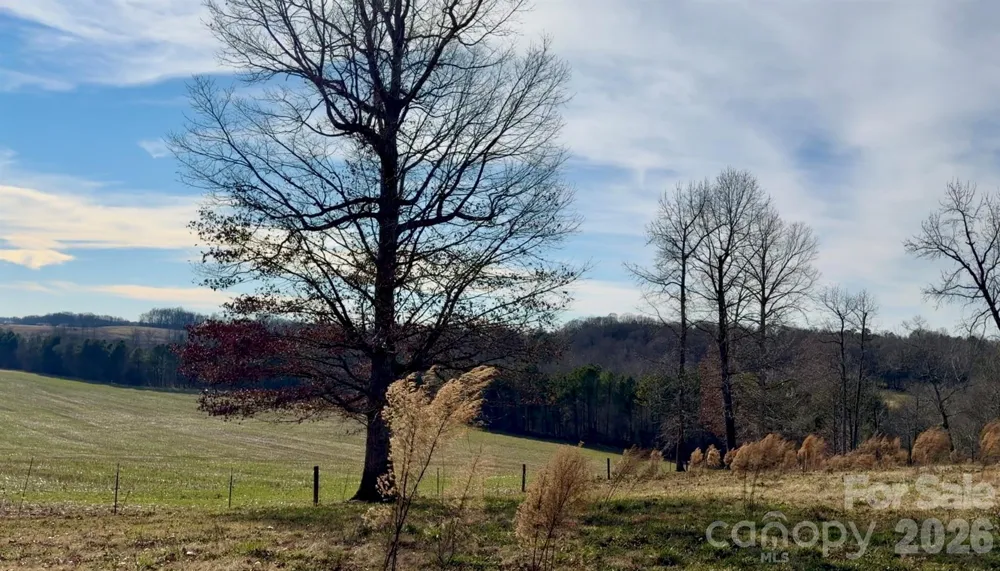 144 & 179 J and W Drive Olin, NC 28660
