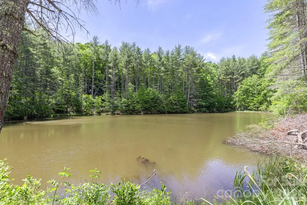 9999 River Edge Drive #2 Burnsville, NC 28714