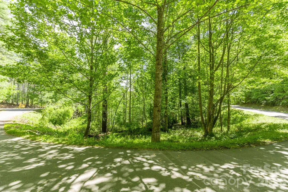 9999 River Edge Drive #2 Burnsville, NC 28714