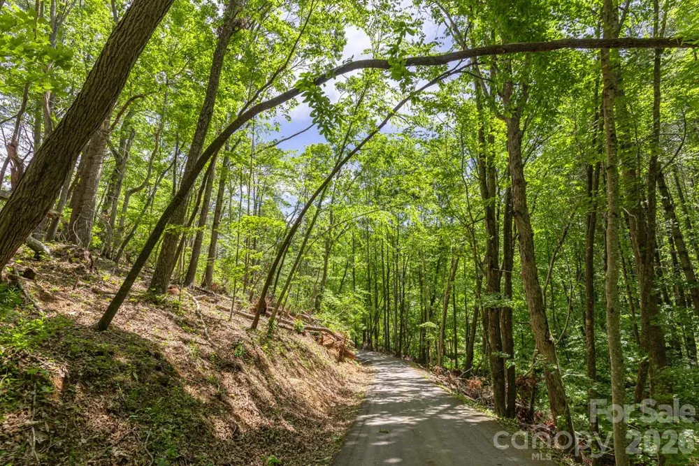 9999 River Edge Drive #2 Burnsville, NC 28714