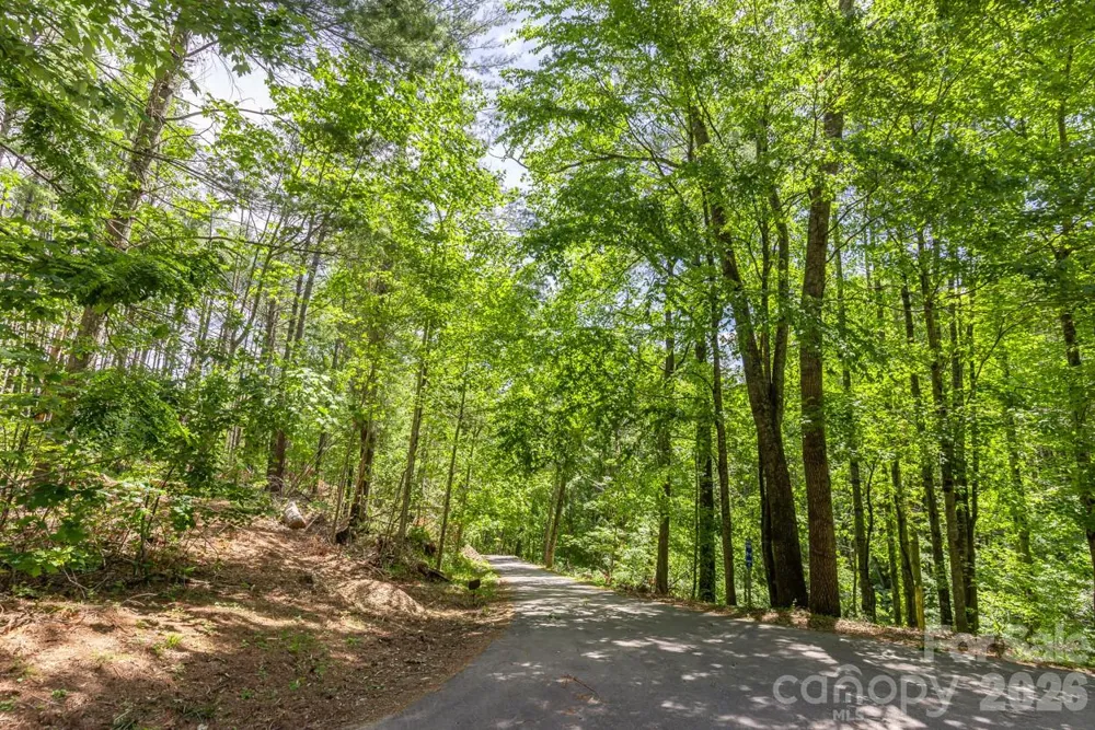 9999 River Edge Drive #2 Burnsville, NC 28714