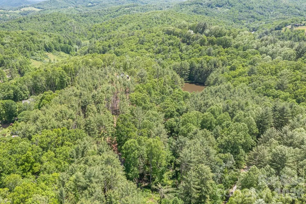 9999 River Edge Drive #2 Burnsville, NC 28714