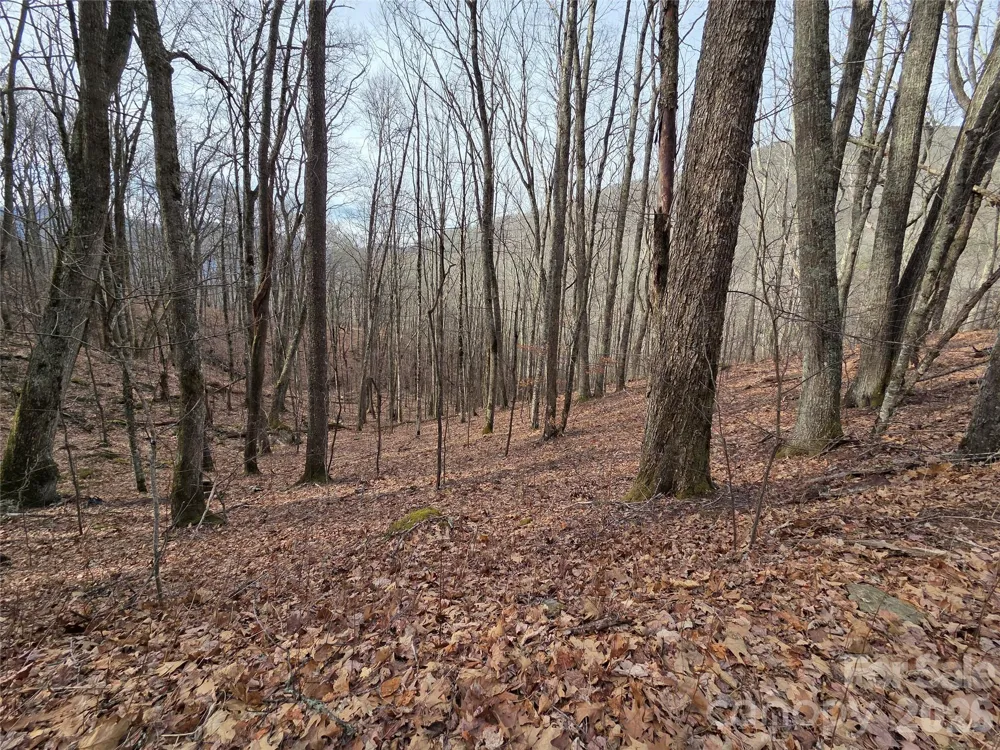 180 Goat House Way Maggie Valley, NC 28751