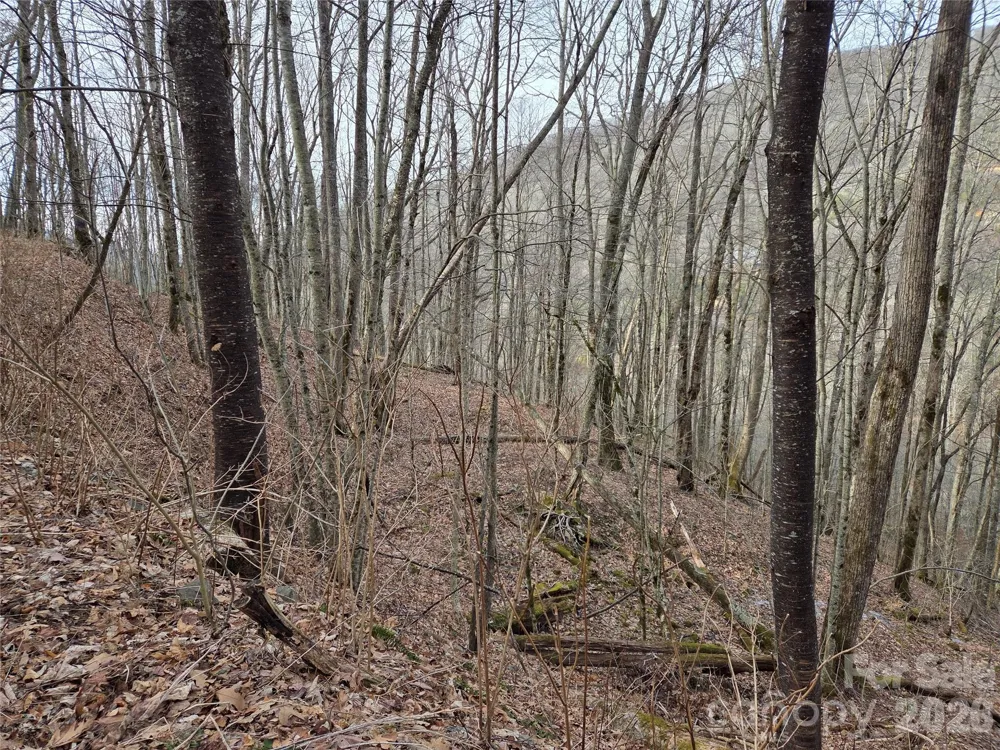180 Goat House Way Maggie Valley, NC 28751