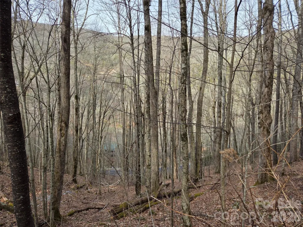 180 Goat House Way Maggie Valley, NC 28751