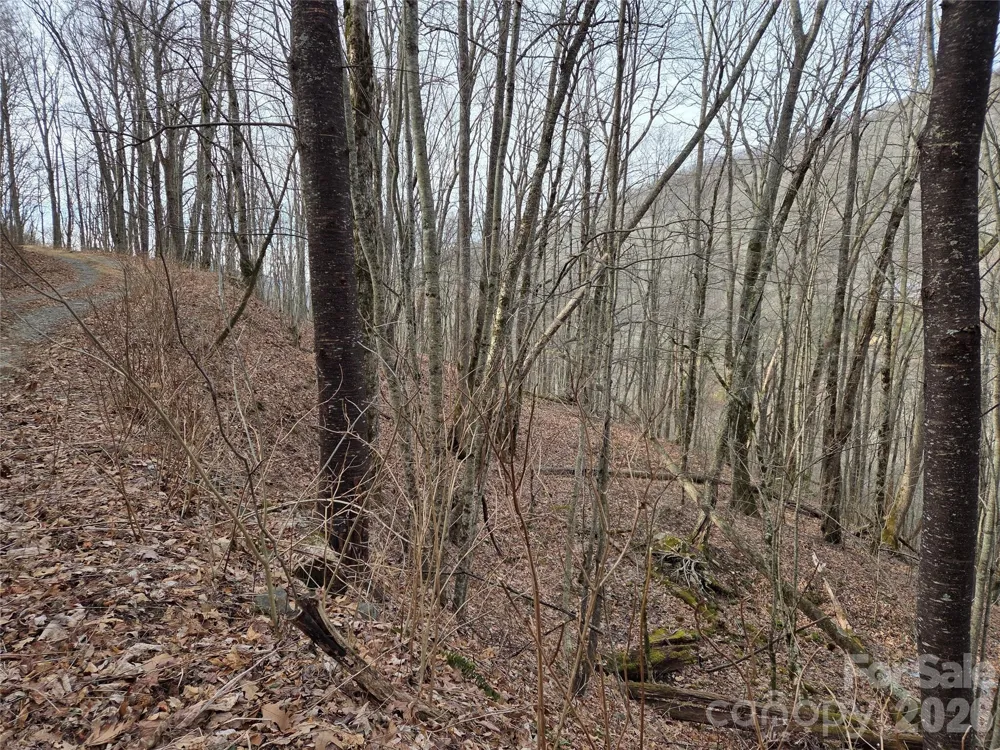 180 Goat House Way Maggie Valley, NC 28751