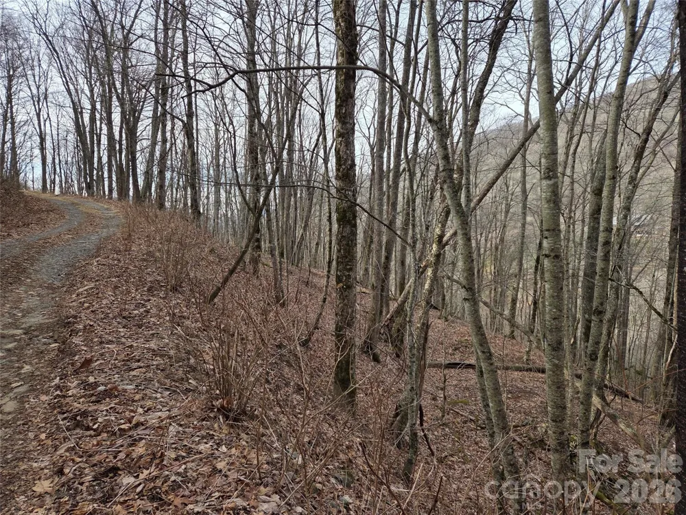 180 Goat House Way Maggie Valley, NC 28751
