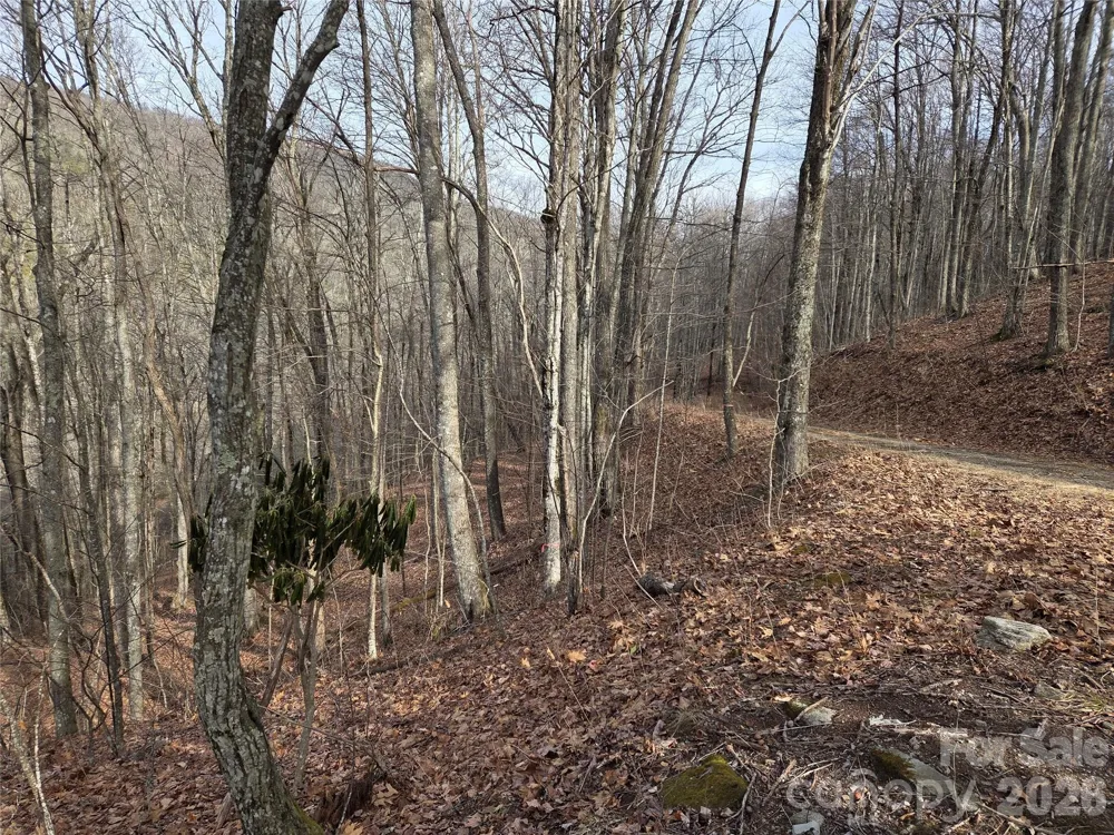 180 Goat House Way Maggie Valley, NC 28751