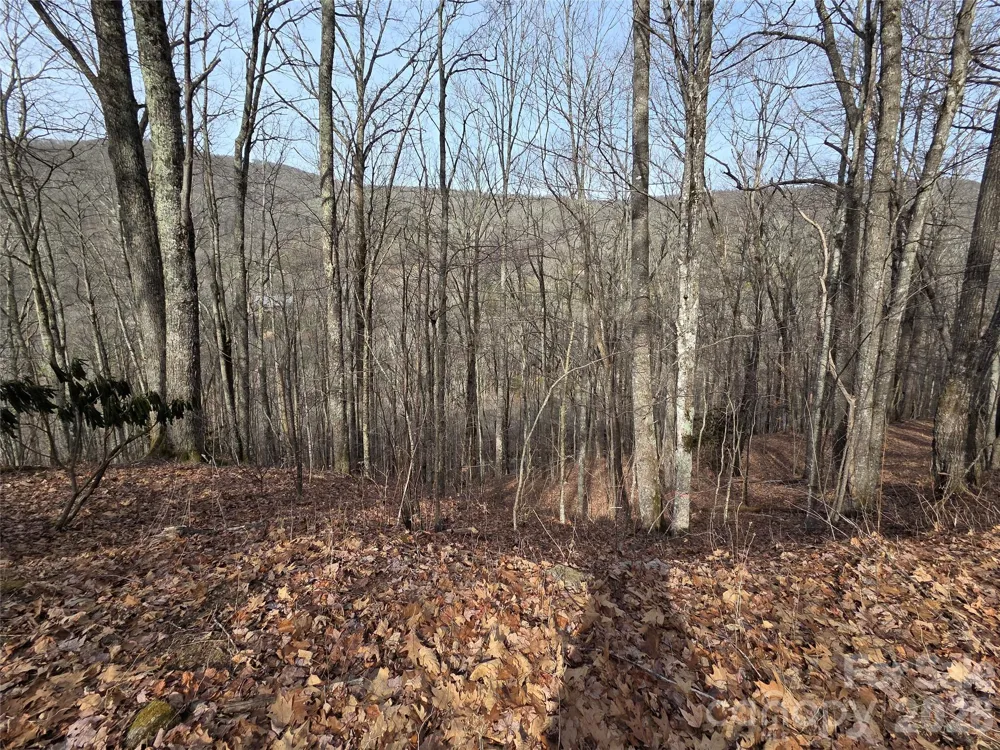 180 Goat House Way Maggie Valley, NC 28751