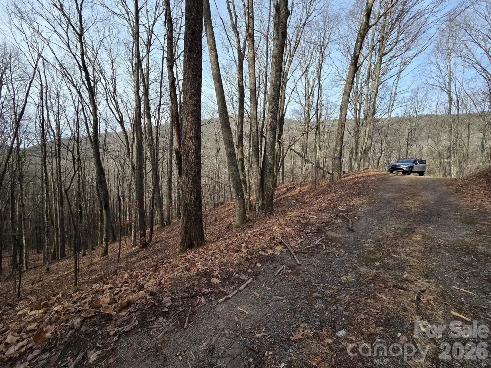 180 Goat House Way Maggie Valley, NC 28751